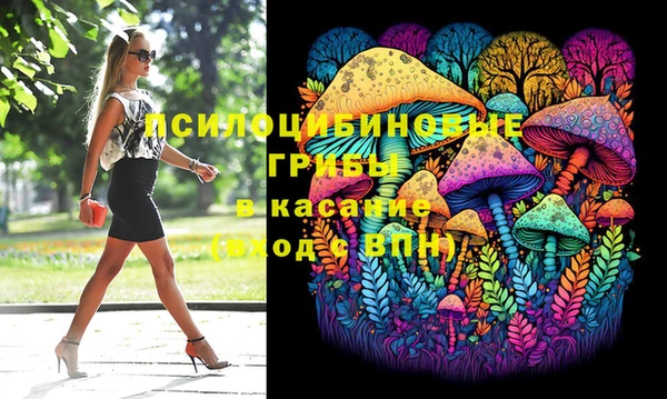 гидра Армянск