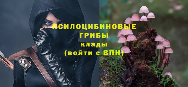 прущая мука Белокуриха