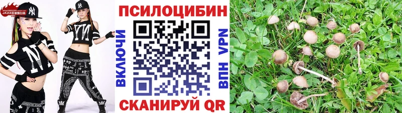 Галлюциногенные грибы MAGIC MUSHROOMS Белоусово